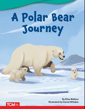 Polar Bear Journey