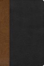 Rvr 1960 Biblia de Estudio Arcoiris, Tostado/Negro Símil Piel