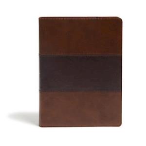 KJV Study Bible, Full-Color, Saddle Brown Leathertouch