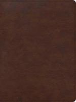 CSB Apologetics Study Bible for Students, Brown Leathertouch