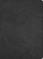 KJV Study Bible, Full-Color, Holman Handcrafted Collection, Black Premium Goatskin