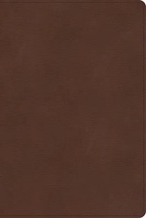 CSB Rainbow Study Bible, Brown Leathertouch