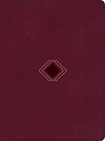 CSB Day-By-Day Chronological Bible, Burgundy Leathertouch