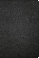 CSB Large Print Thinline Bible, Holman Handcrafted Collection, Black Premium Goatskin