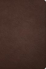 CSB Large Print Thinline Bible, Holman Handcrafted Collection, Brown Premium Goatskin