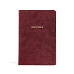 KJV Rainbow Study Bible, Burgundy Leathertouch