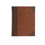 KJV Notetaking Bible, Large Print Edition, Brown/Tan Leathertouch