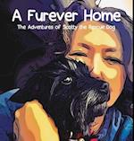 A Furever Home: The Adventures of Scotty the Rescue Dog 