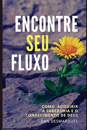 Encontre Seu fluxo