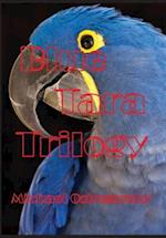 Blue Tara Trilogy: Princess Tara Chronicles 