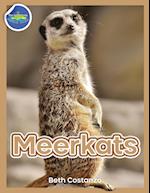 Meerkat Activity Workbook for Kids ages 4-8 