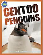 Gentoo Penguins activity workbook ages 4-8 