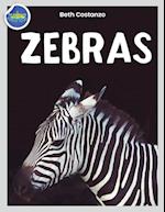 Zebra Activity Workbook ages 4-8 