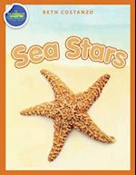 Sea Stars Activity Workbook ages 4-8 