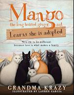 MANGO (the long haired ginger cat) LEARNS SHE IS ADOPTED