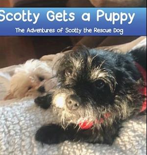 Scotty Gets a Puppy: The Adventures of Scotty the Rescue Dog