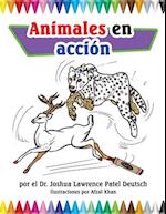 Animales en acción