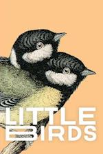 Little Birds 