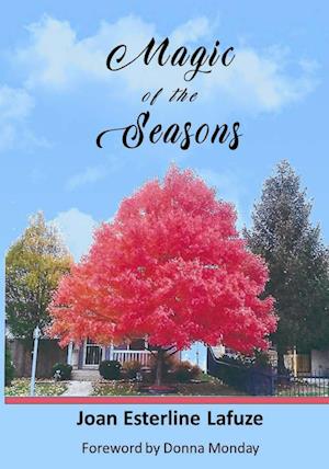 Magic of the Seasons