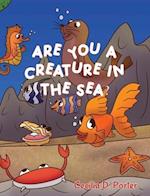 ARE YOU A CREATURE IN THE SEA? 
