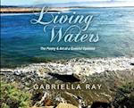 Living Waters: The Poetry & Art of a Grateful Optimist 