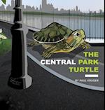 The Central Park Turtle