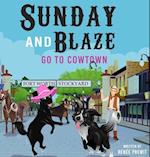 Sunday And Blaze Go To Cowtown 