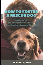 How to Foster a Rescue Dog