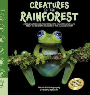 Creatures of the Rainforest