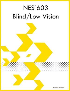 NES 603 Blind/Low Vision