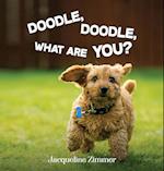 DOODLE, DOODLE, WHAT ARE YOU? 
