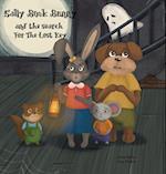 Sally Book Bunny and the Search for the Lost Key 