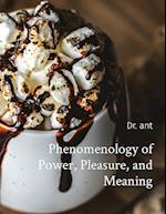 Phenomenology of Power, Pleasure, and Meaning 