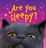 Are You Sleepy? 