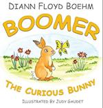 Boomer The Curious Bunny 
