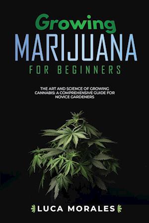 Growing Marijuana for Beginners