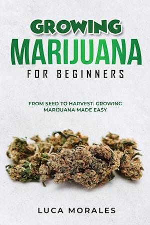 Growing Marijuana for Beginners