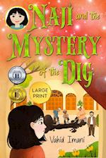 Naji and the Mystery of the Dig