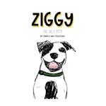 Ziggy the Silly Pitty 