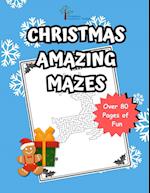 The Hidden Hollow Tales Christmas Maze Book 