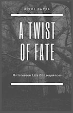 A Twist of Fate: Unforeseen Life Consequences (Large Print Edition) 