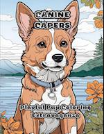 Canine Capers