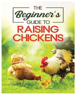 Raising Chickens for Beginners