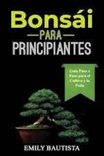 Bonsái para Principiantes