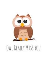 Owl Really Miss you