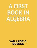 A First Book in Algebra