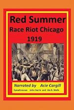Red Summer Race Riot Chicago 1919