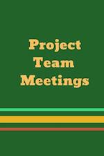 Project Team Meetings