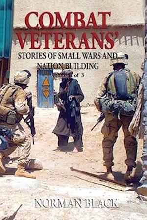 Combat Veterans' Stories of Small Wars and Nation Building