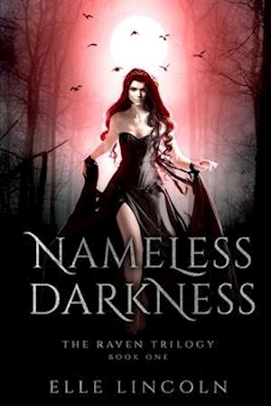 Nameless Darkness: A Reverse Harem Paranormal Romance